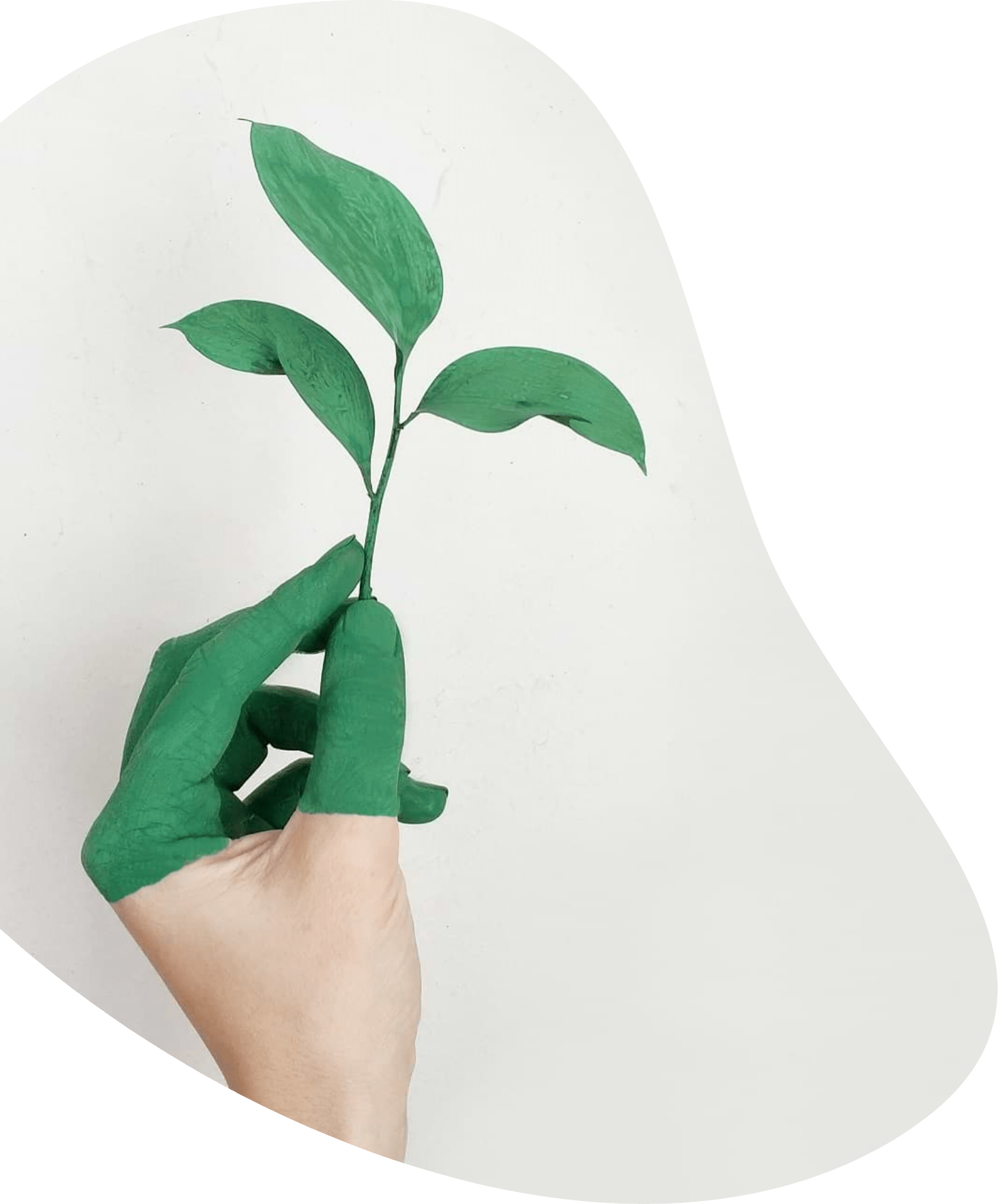 Conseil en Développement Durable