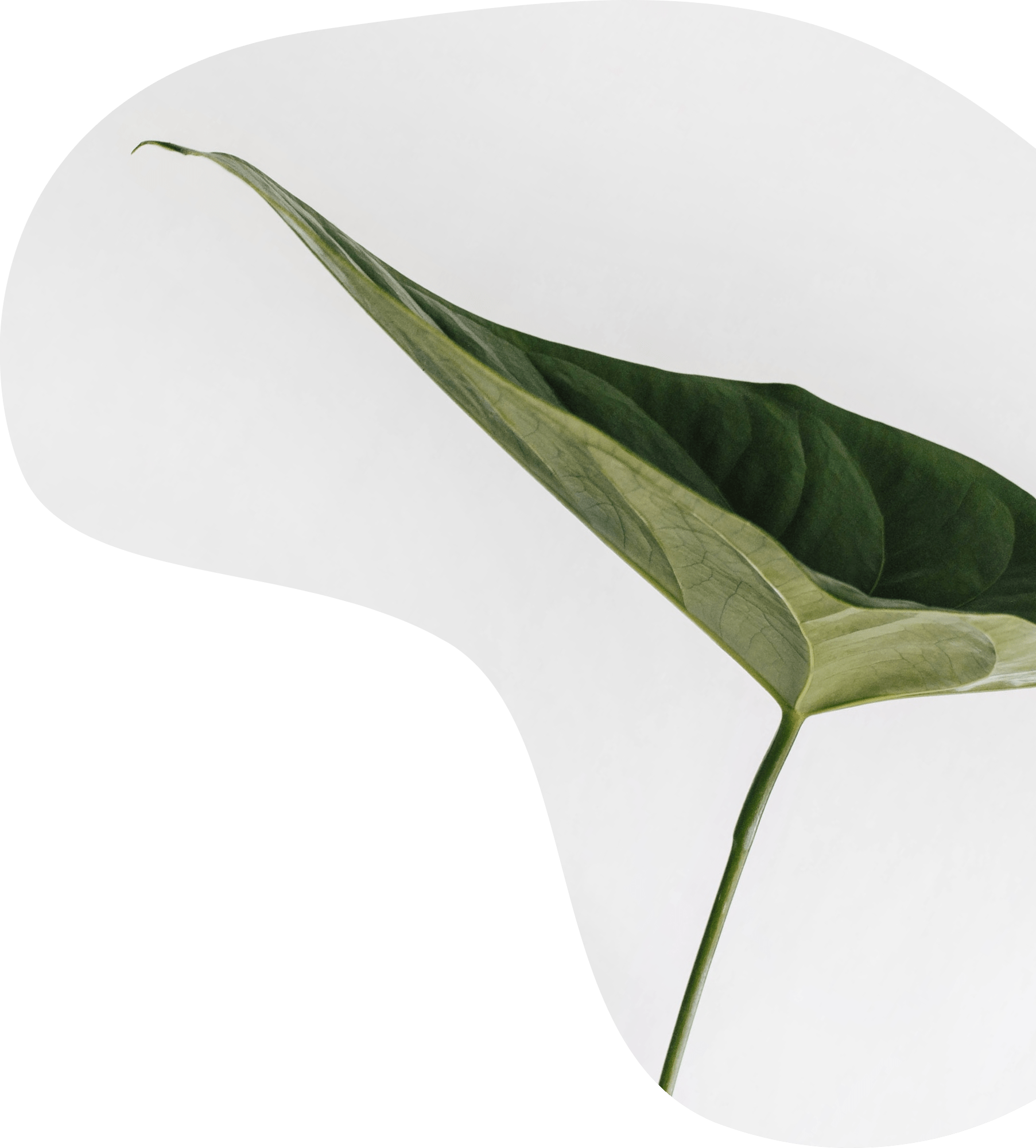 Expertise transition écologique
