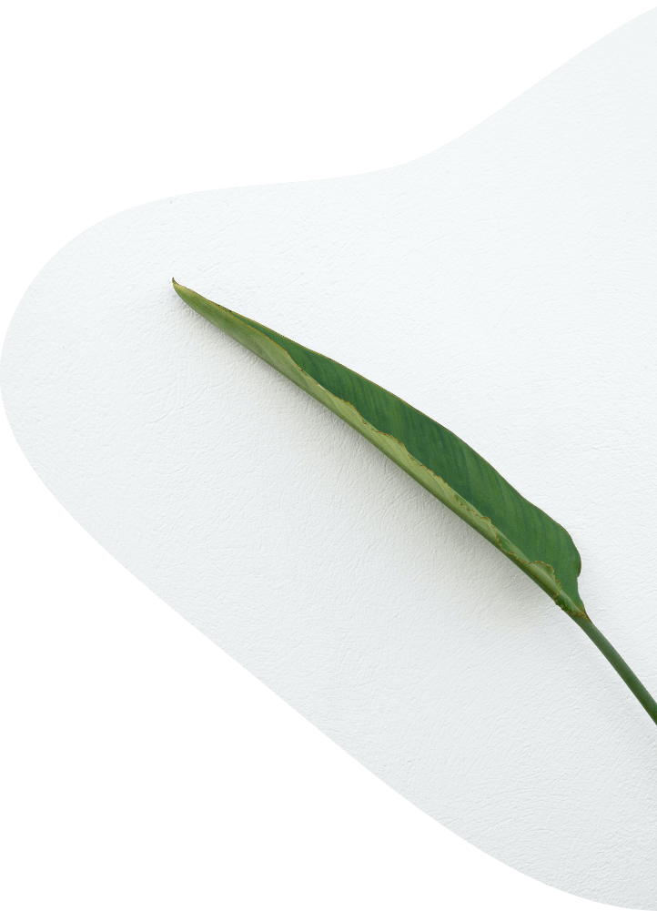 Stratégie carbone
