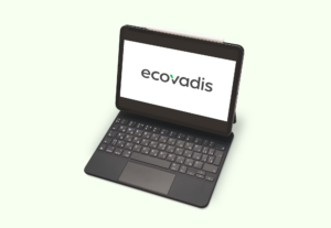 Consultant expert EcoVadis